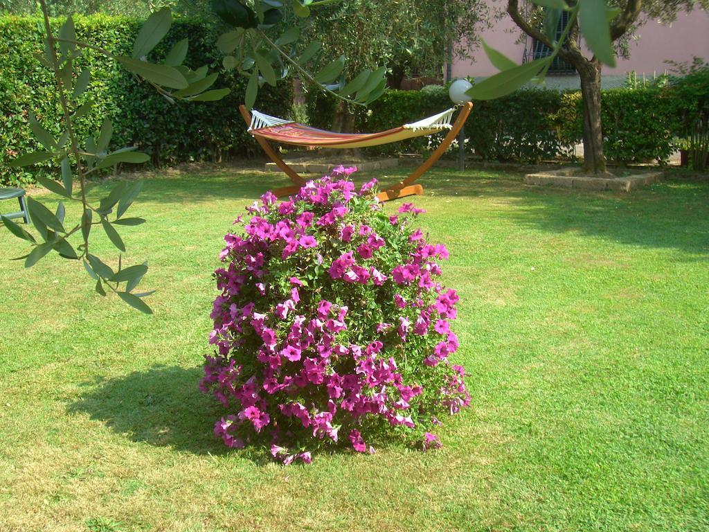 Tenuta Fagnani Lucca Phòng bức ảnh
