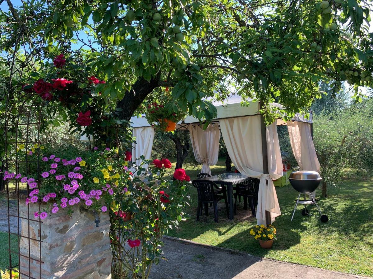 Tenuta Fagnani Lucca Ngoại thất bức ảnh